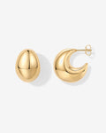 PAVOI - Chunky Dome Hoop Earrings