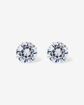 PAVOI - Moissanite Studs