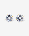 PAVOI - Moissanite Studs